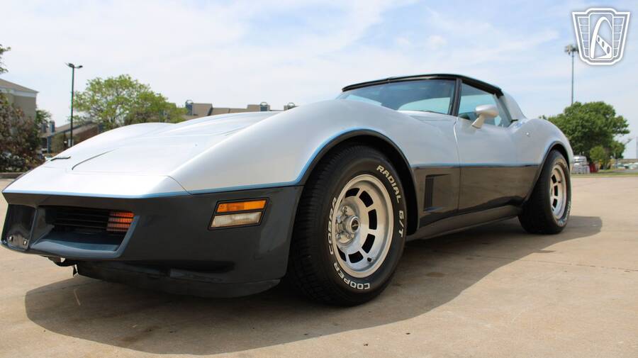1981 Corvette picture #2