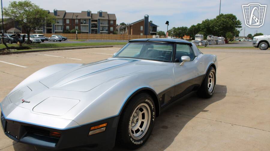 1981 Corvette picture #3