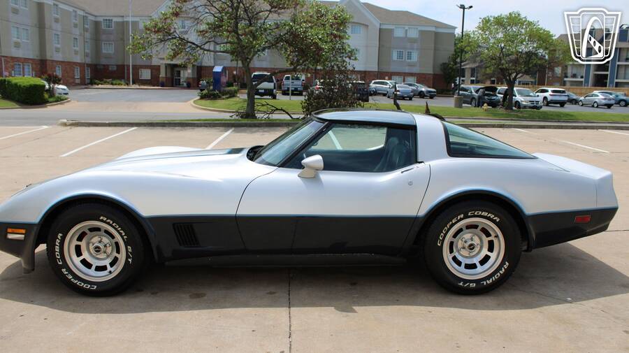 1981 Corvette picture #4