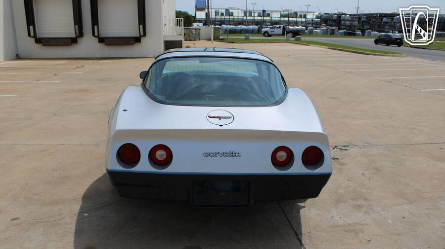 1981 Corvette picture #6