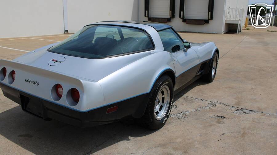 1981 Corvette picture #7