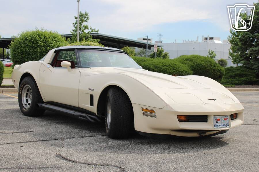 1981 Corvette picture #1