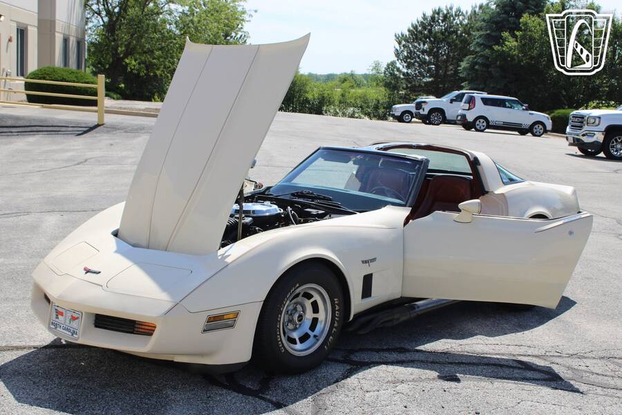 1981 Corvette picture #6