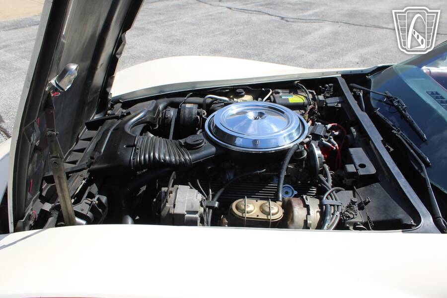 1981 Corvette picture #7