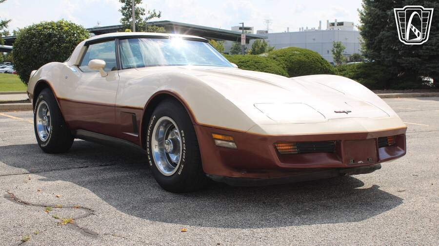 1981 Corvette picture #1