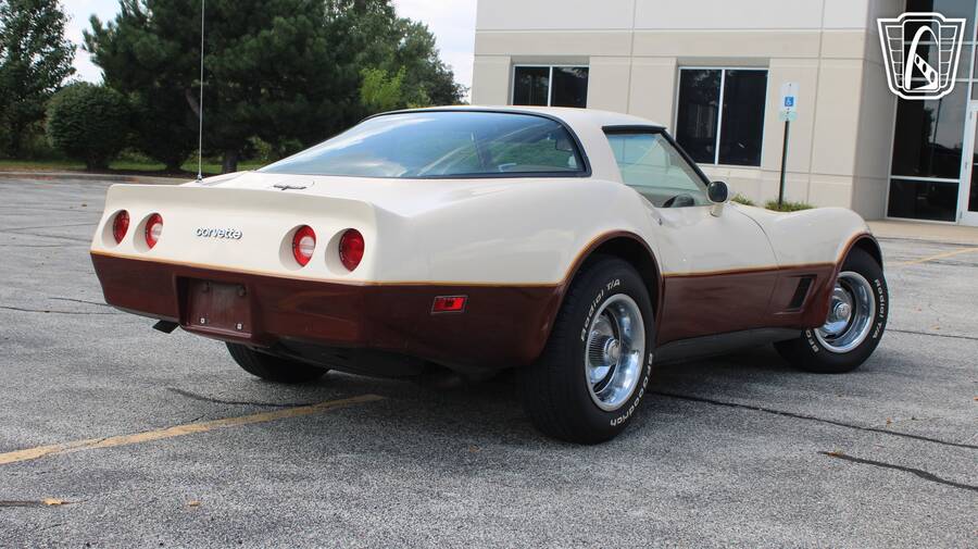 1981 Corvette picture #2