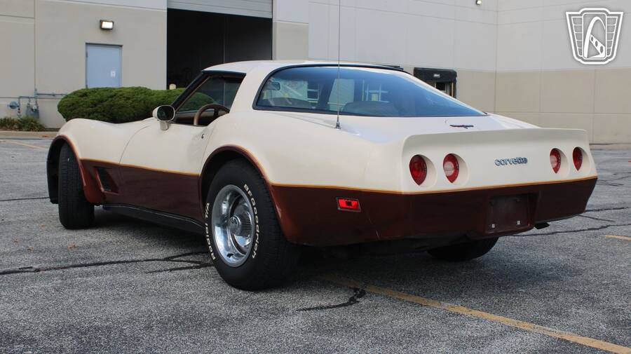 1981 Corvette picture #3