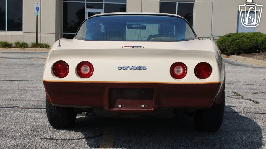 1981 Corvette picture #5