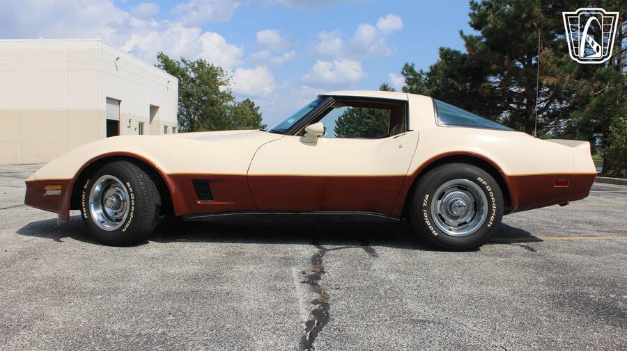 1981 Corvette picture #6