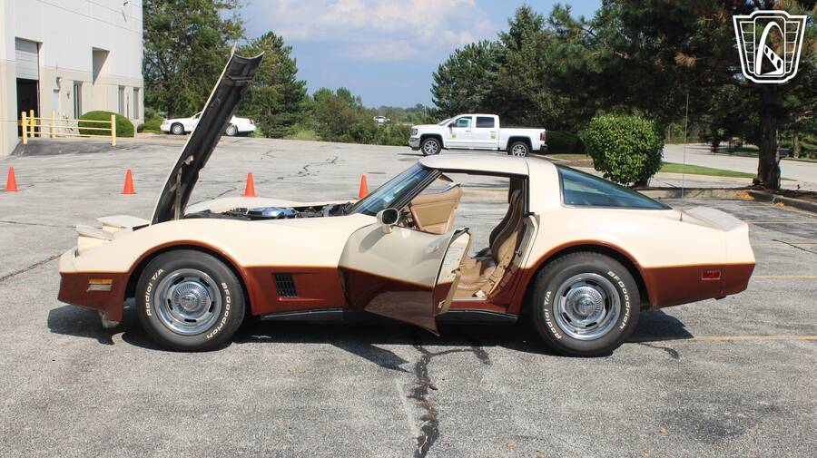 1981 Corvette picture #7