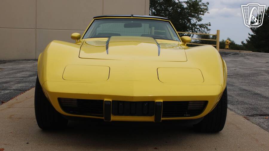 1979 Corvette picture #4