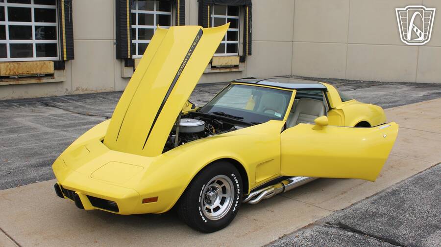 1979 Corvette picture #7