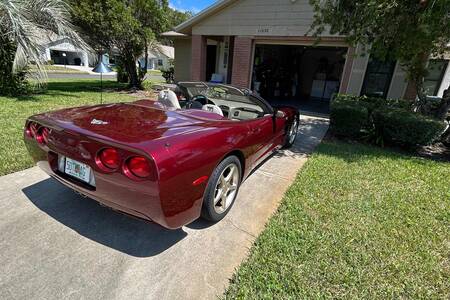2003 50th, Convertible, Burgandy/shale picture #1