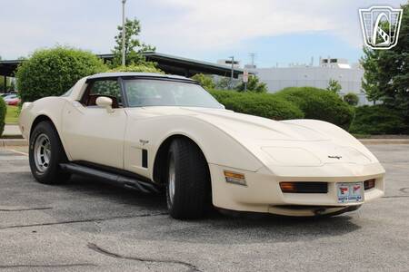 1981 Corvette picture #1