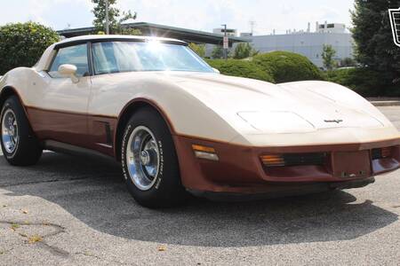 1981 Corvette picture #1