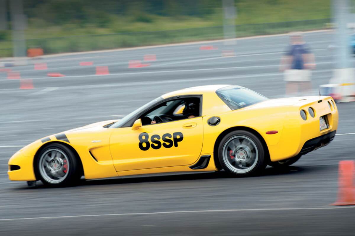 Photo: The Birdman Cometh 1