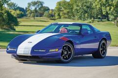 Photo: The First Skunk: uploaded at 03/09/2023 07:05 PM UTC