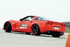 Photo: Herding Cones 1