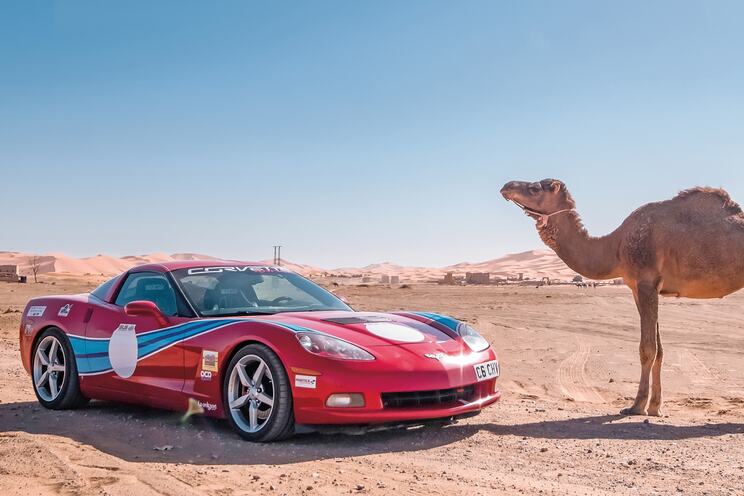 Clive's Big Adventure: uploaded at 2026-03-12 20:39:26 +0000