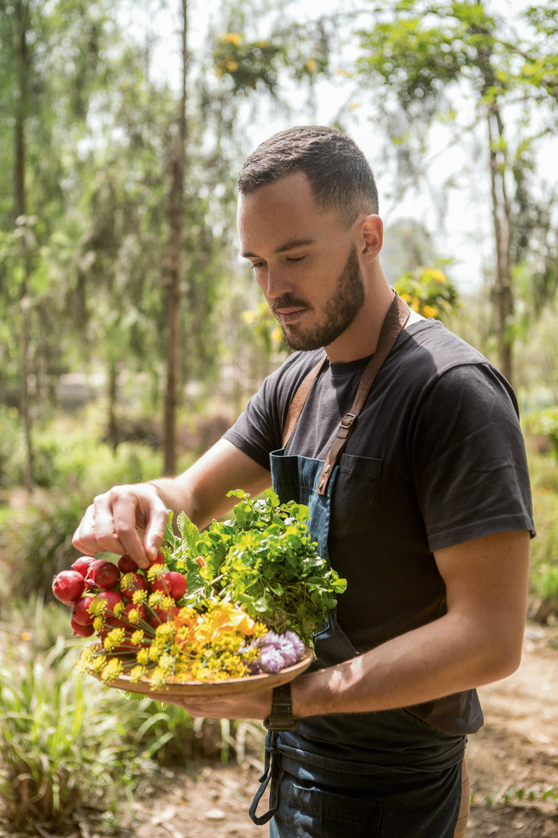 cocineros