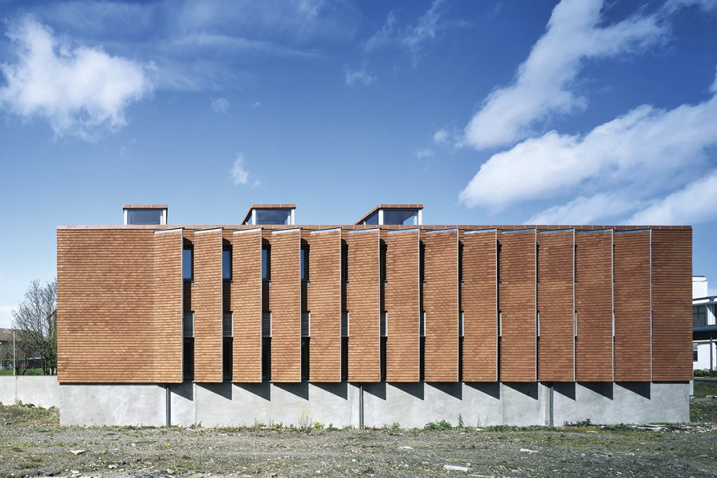Instituto Urbano de Irlanda