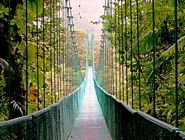 Hanging Bridge