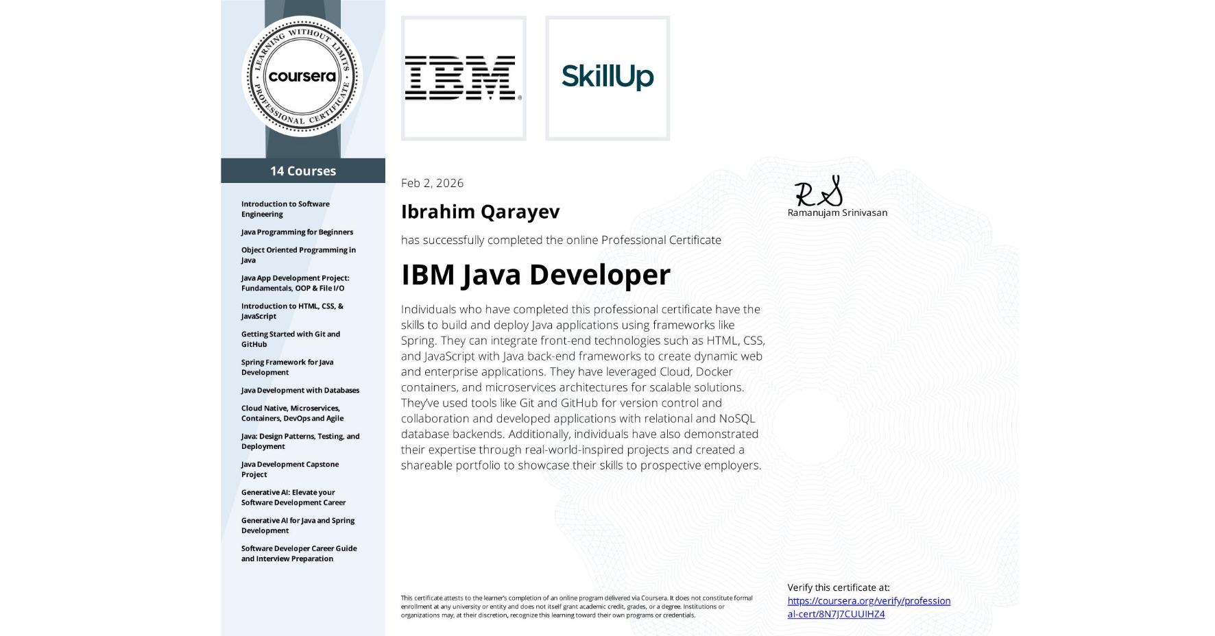 IBM - Java Developer