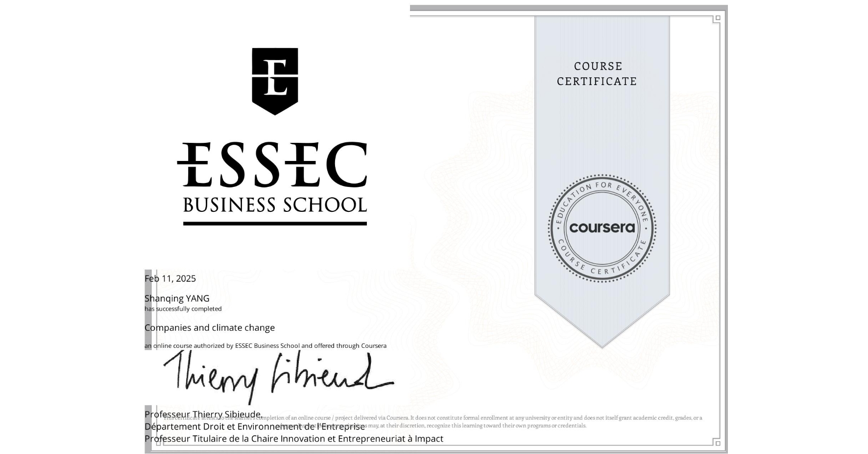 View certificate for Shanqing YANG, Companies and climate change, an online non-credit course authorized by ESSEC Business School and offered through Coursera