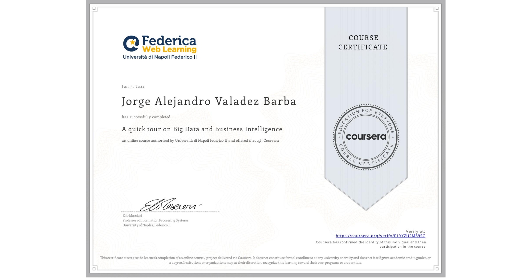 View certificate for Jorge Alejandro Valadez Barba, A quick tour on Big Data and Business Intelligence, an online non-credit course authorized by Università di Napoli Federico II and offered through Coursera