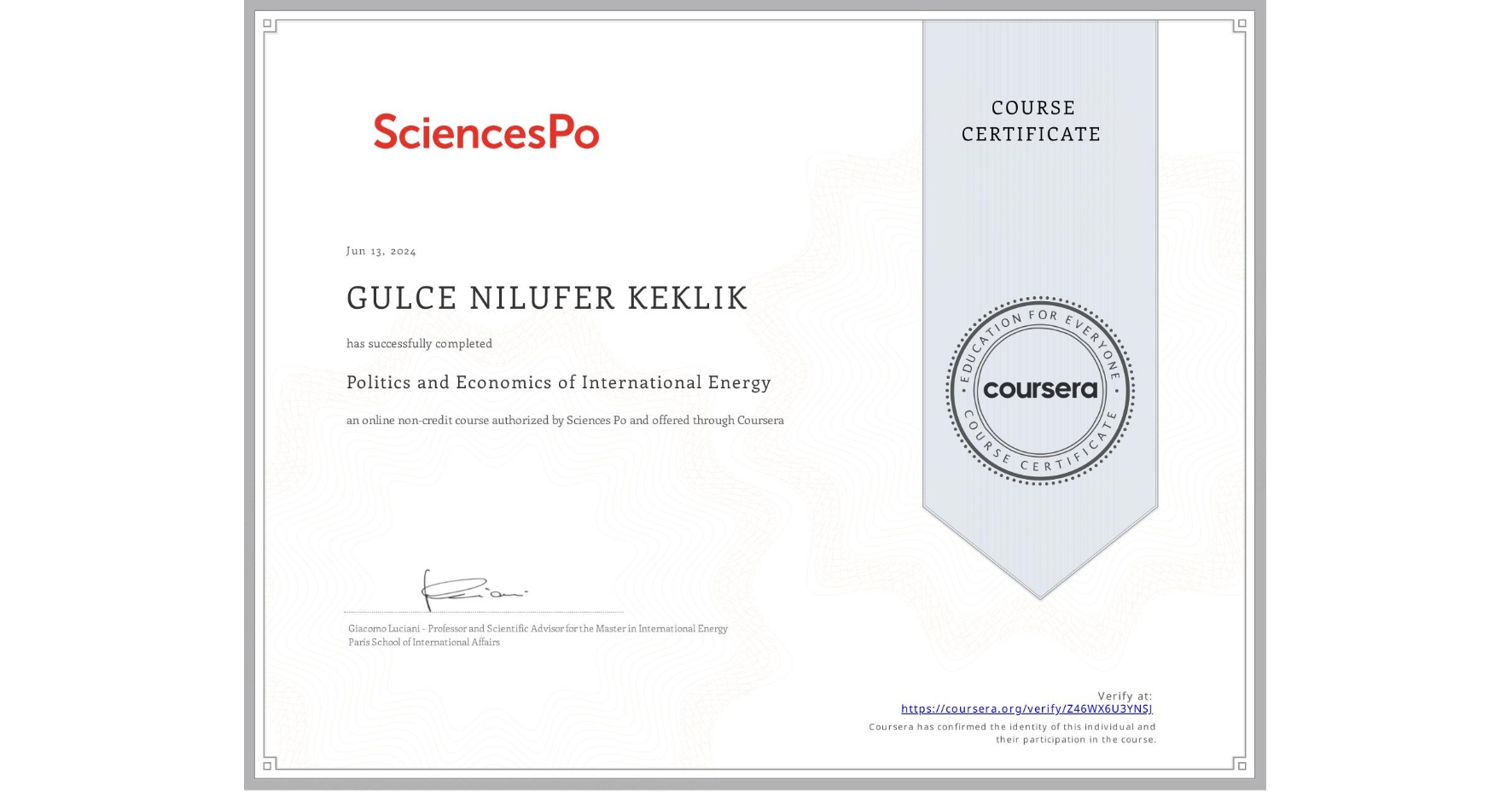 View certificate for GULCE NILUFER KEKLIK, Politics and Economics of International Energy, an online non-credit course authorized by Sciences Po and offered through Coursera