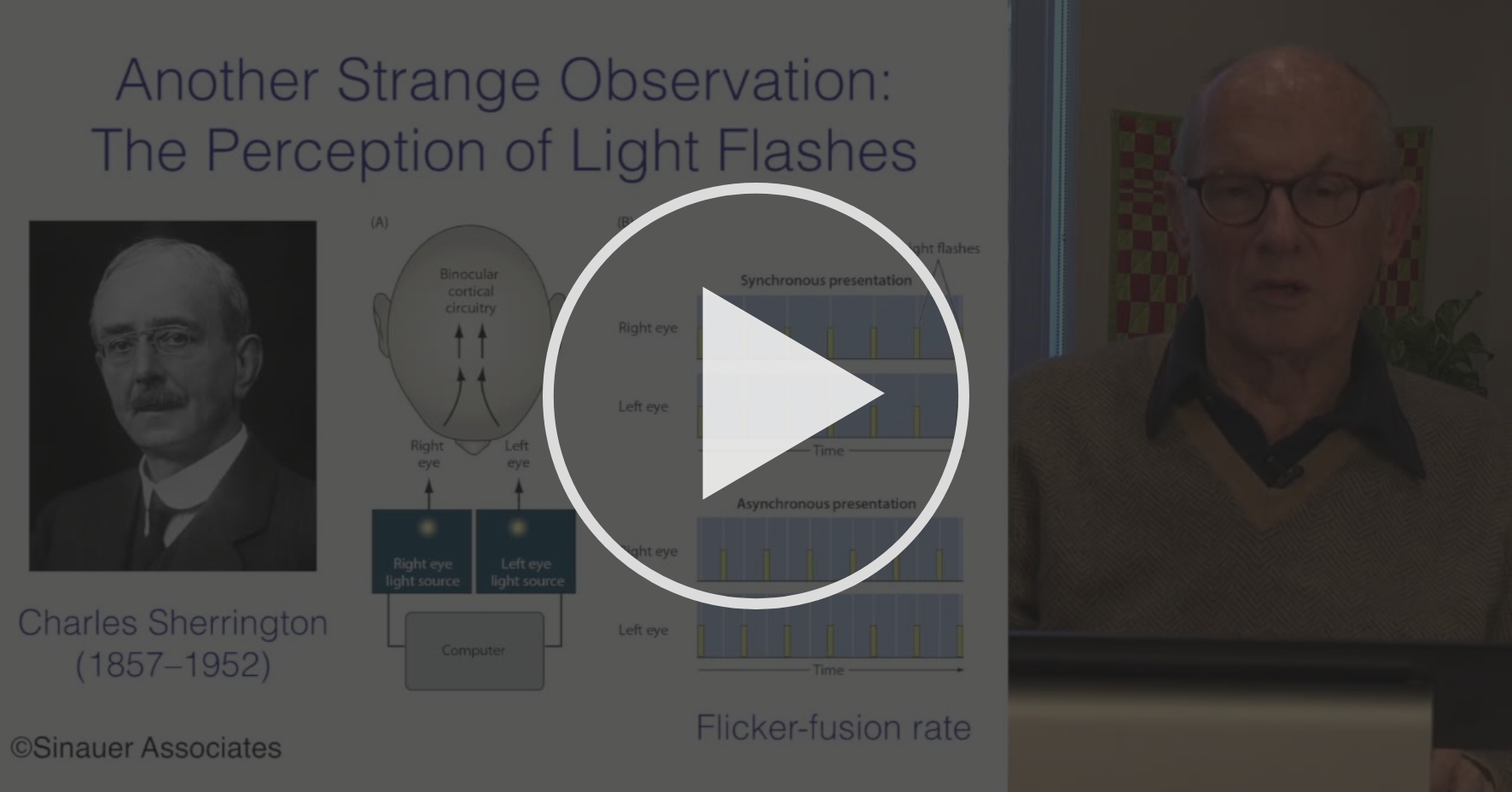 Binocular Fusion (part 2) Seeing Space Coursera
