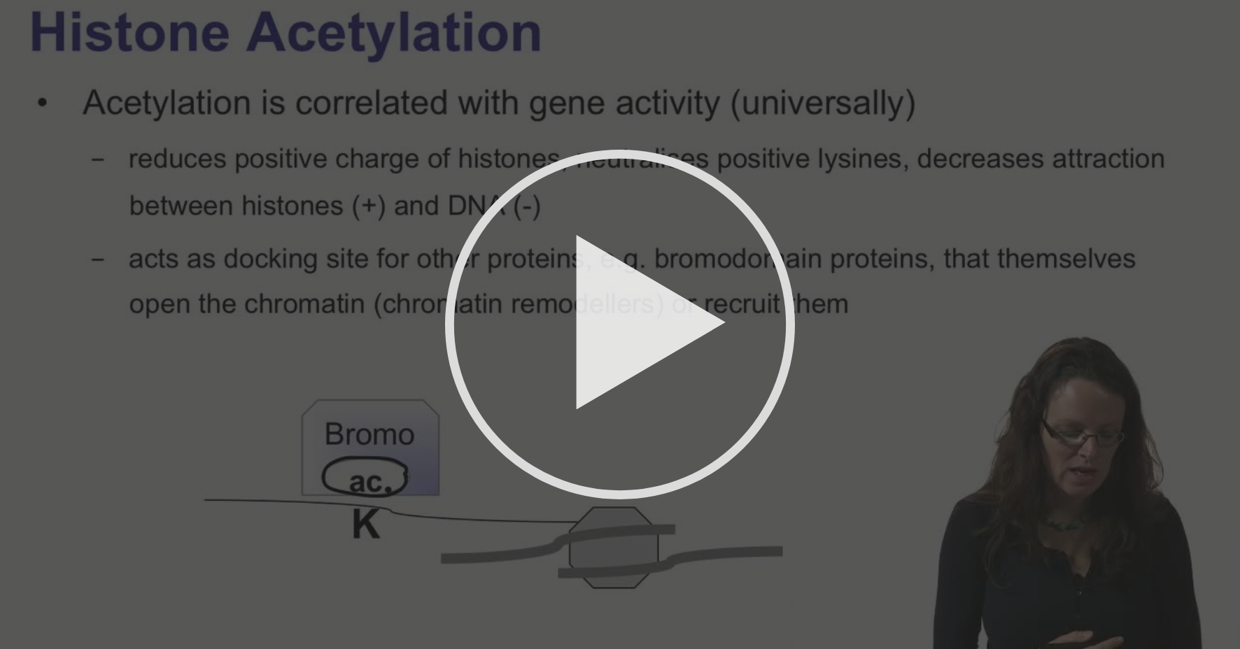 2 2 histone acetylation and histone