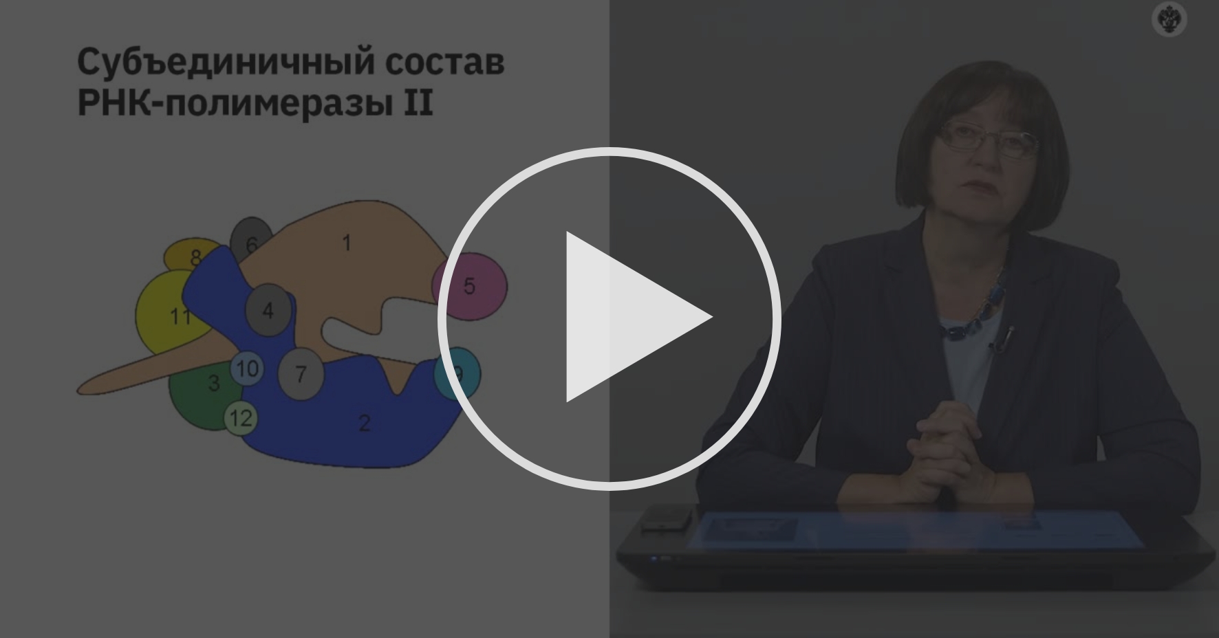 РНКполимераза II Введение Coursera