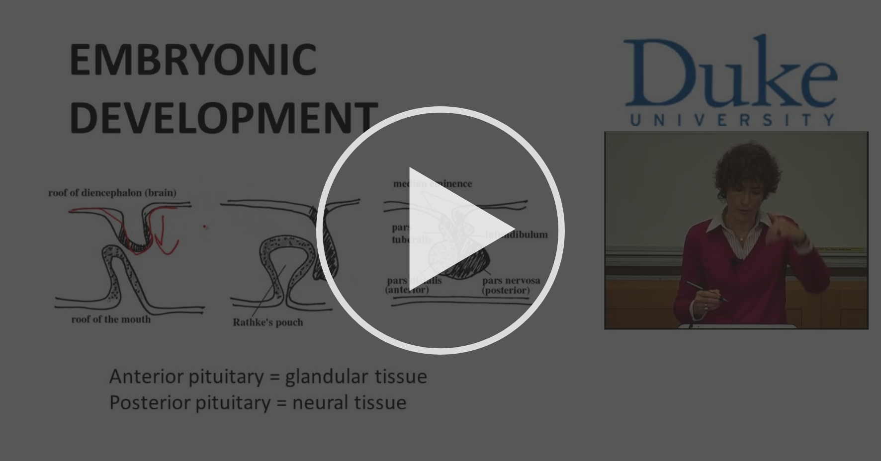 Hypothalamus-Anterior Pituitary Axis- GH - The Endocrine System | Coursera