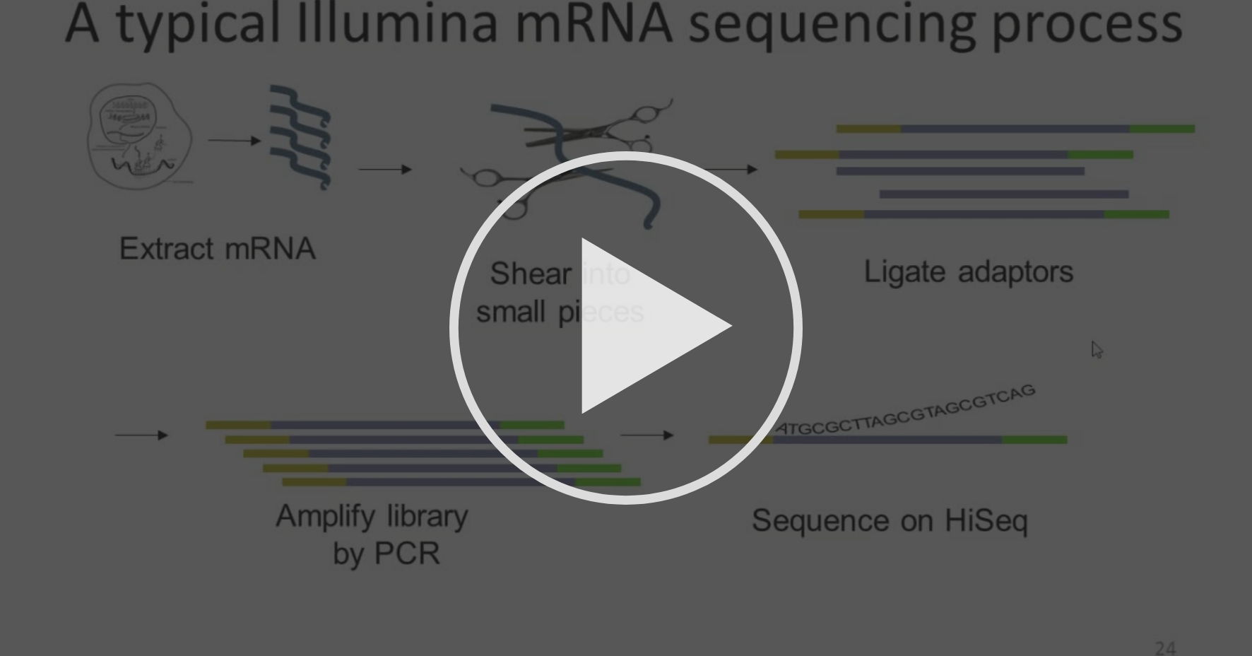 Lecture 3 IlluminaBased mRNA Sequencing Deep mRNA Sequencing Coursera