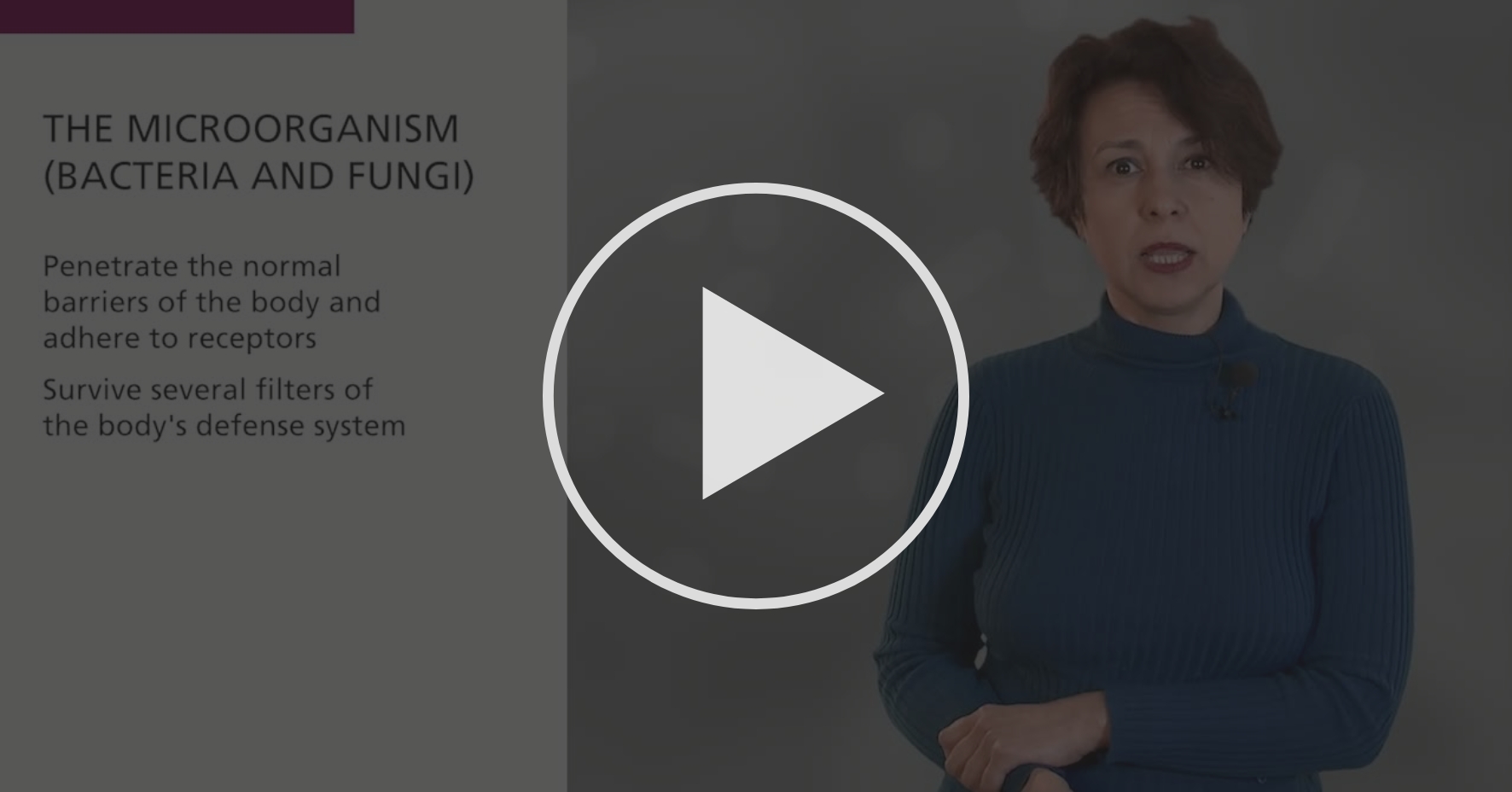 Bacteria And Chronic Infections Coursera
