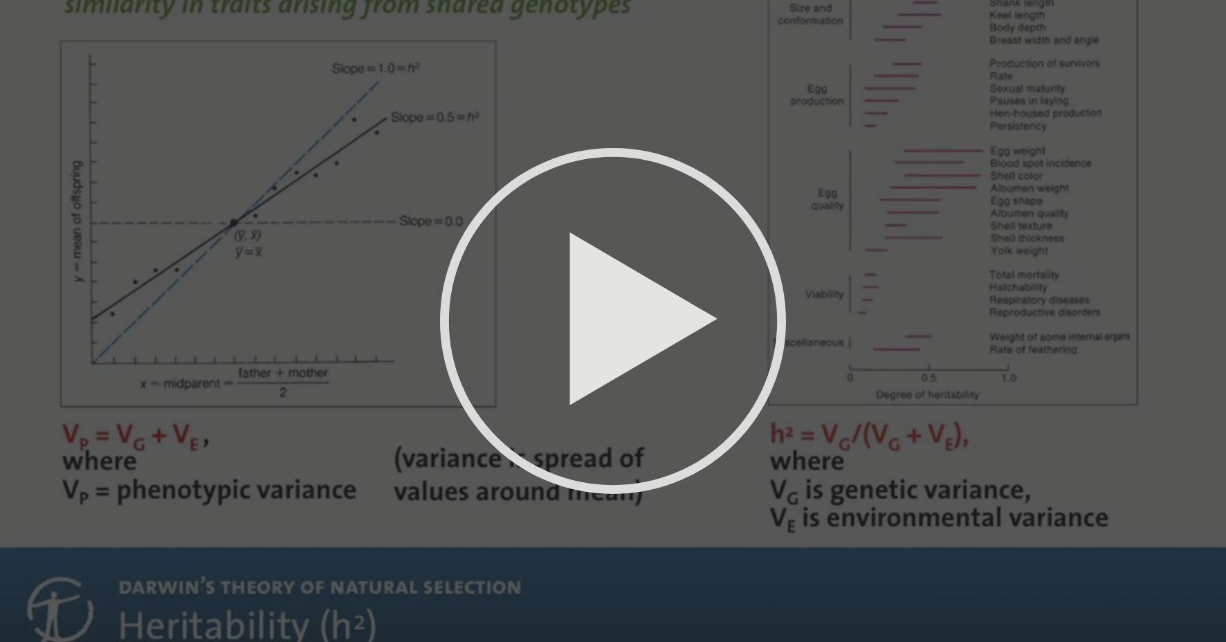 Darwin S Theory Of Natural Selection Darwin S Second Great Idea Adaptation Via Natural Selection Coursera