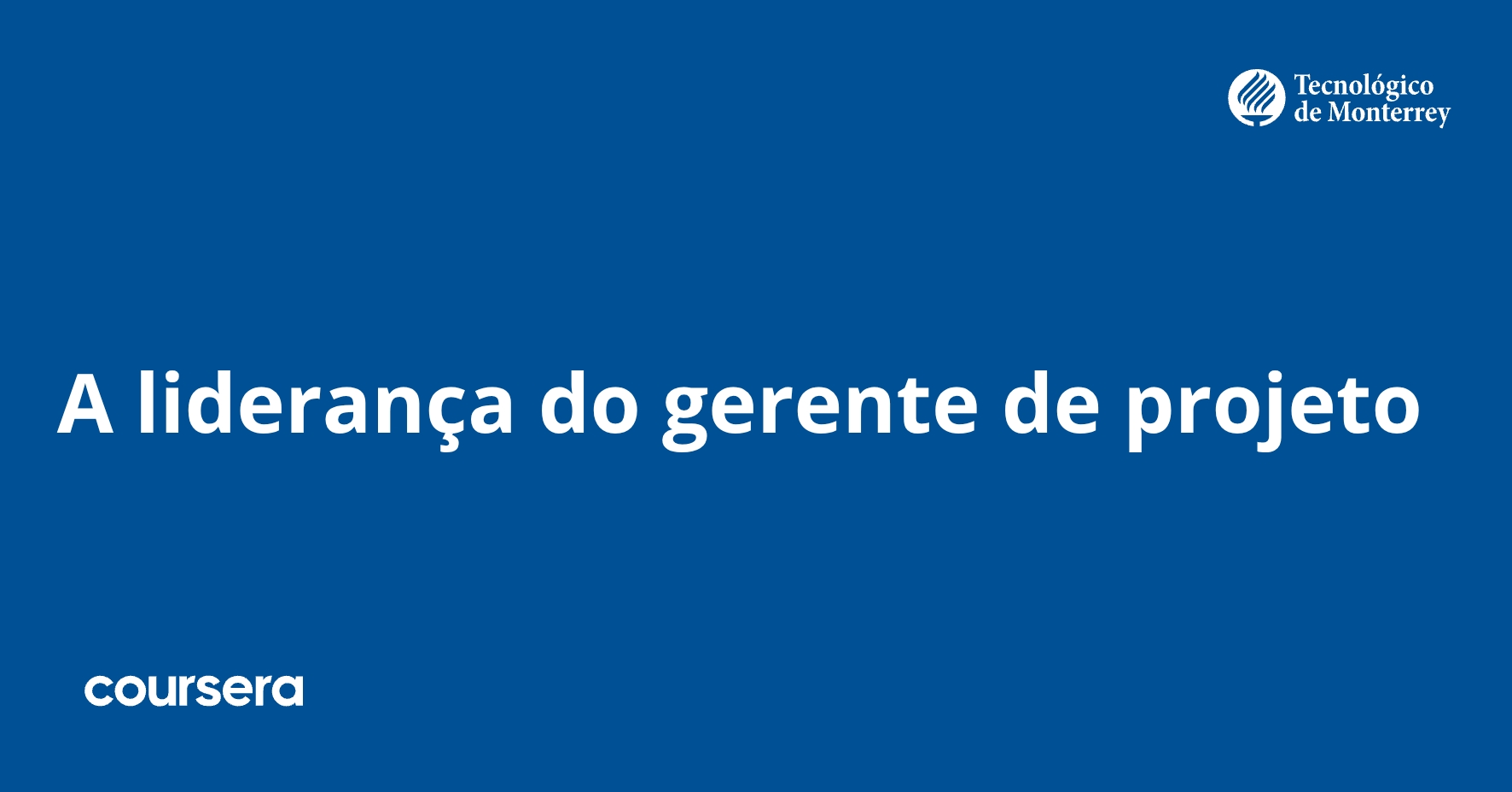 A liderança do gerente de projeto