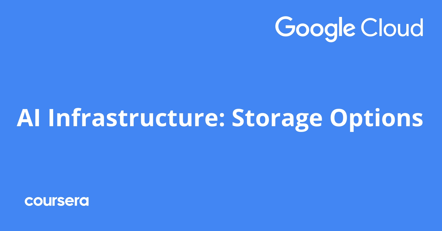 AI Infrastructure: Storage Options