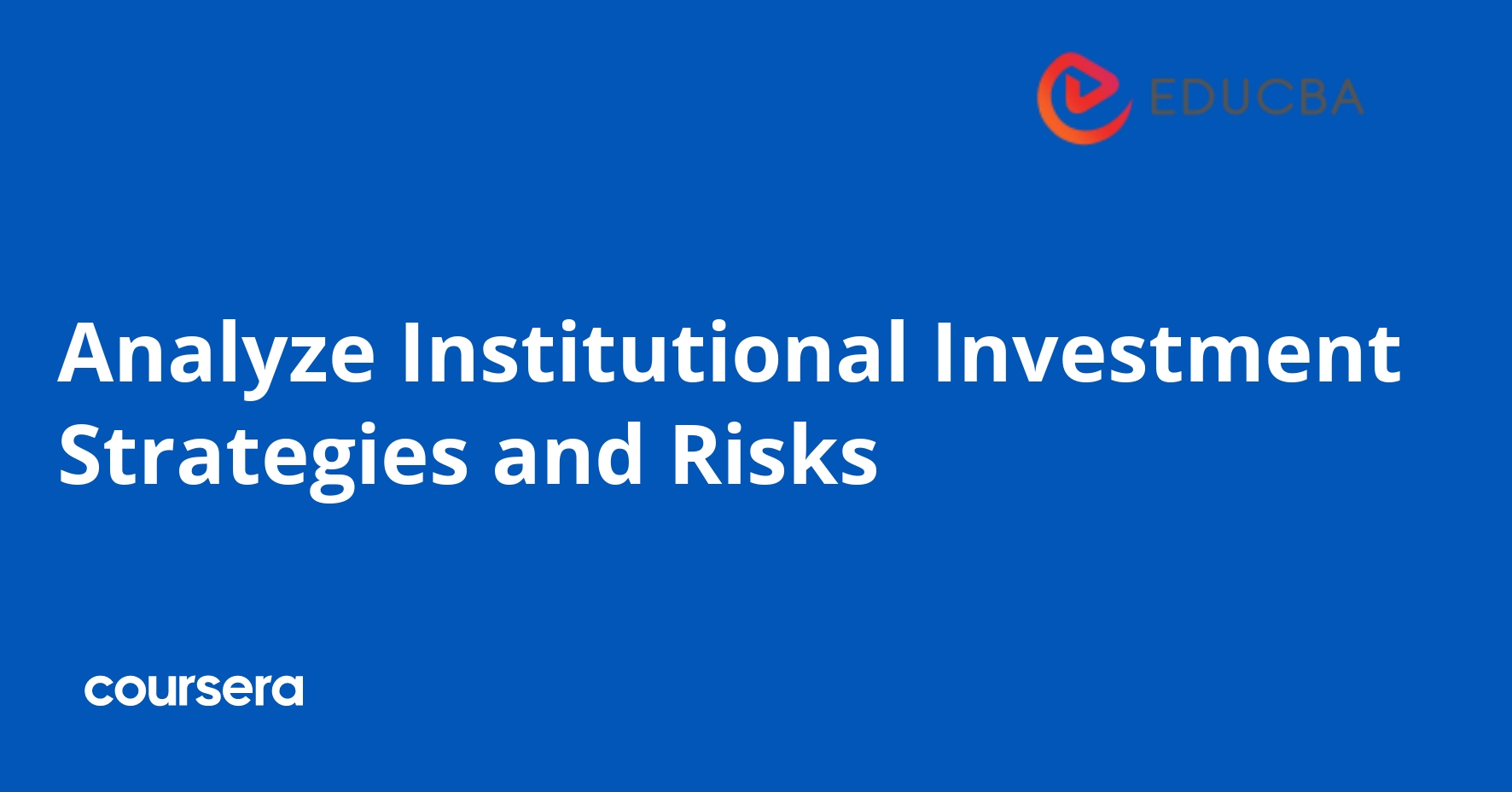 Analyze Institutional Investment Strategies and Risks
