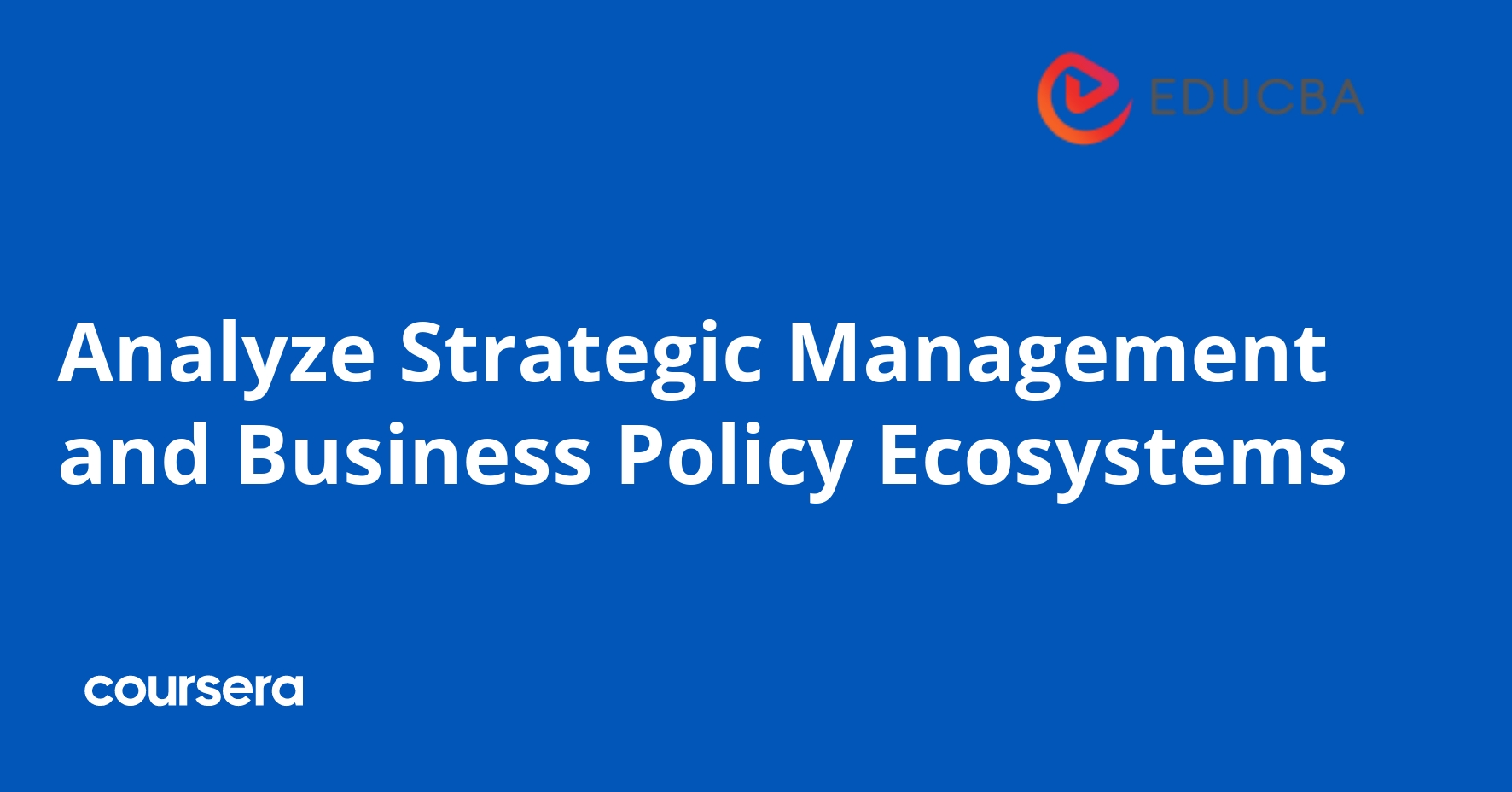 Analyze Strategic Management and Business Policy Ecosystems