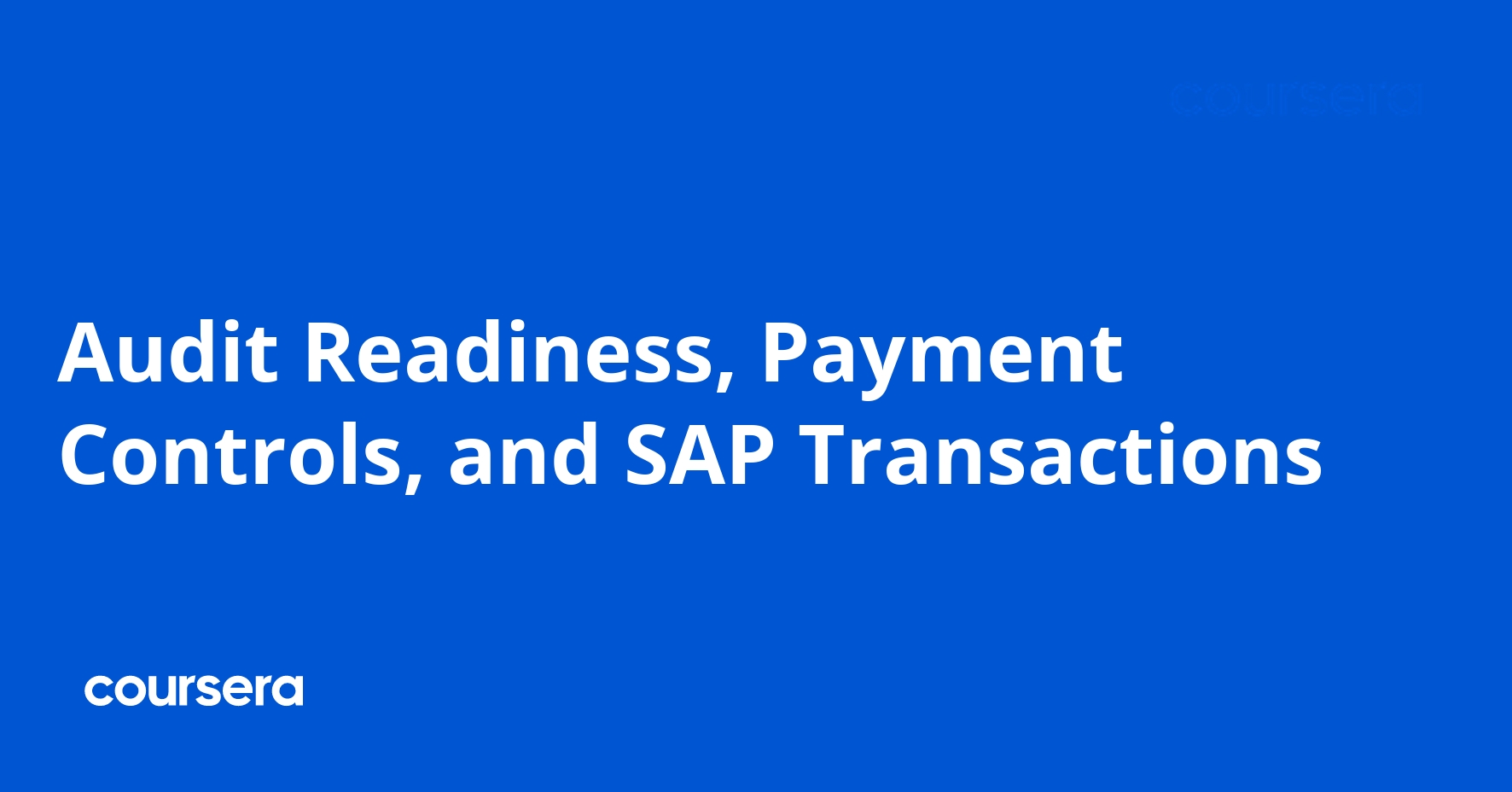 Financial Audit Support and SAP Payment Controls