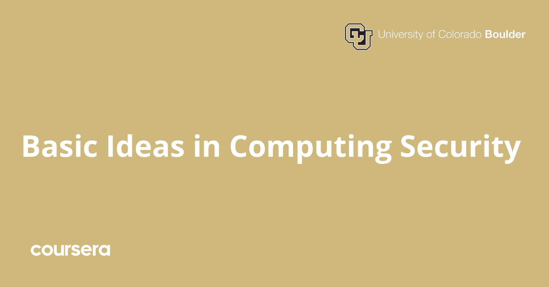 Basic Ideas in Computing Security