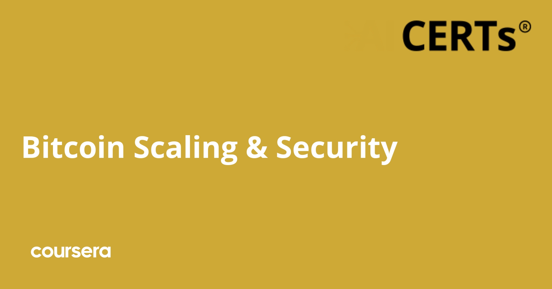 Bitcoin Scaling and Security