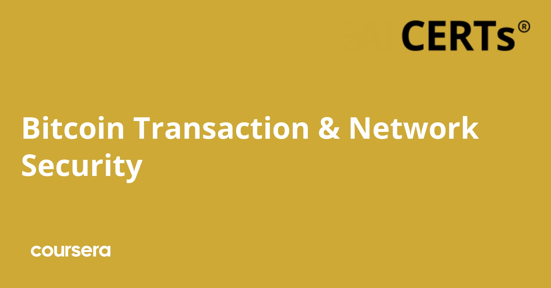 Bitcoin Transaction and Network Security