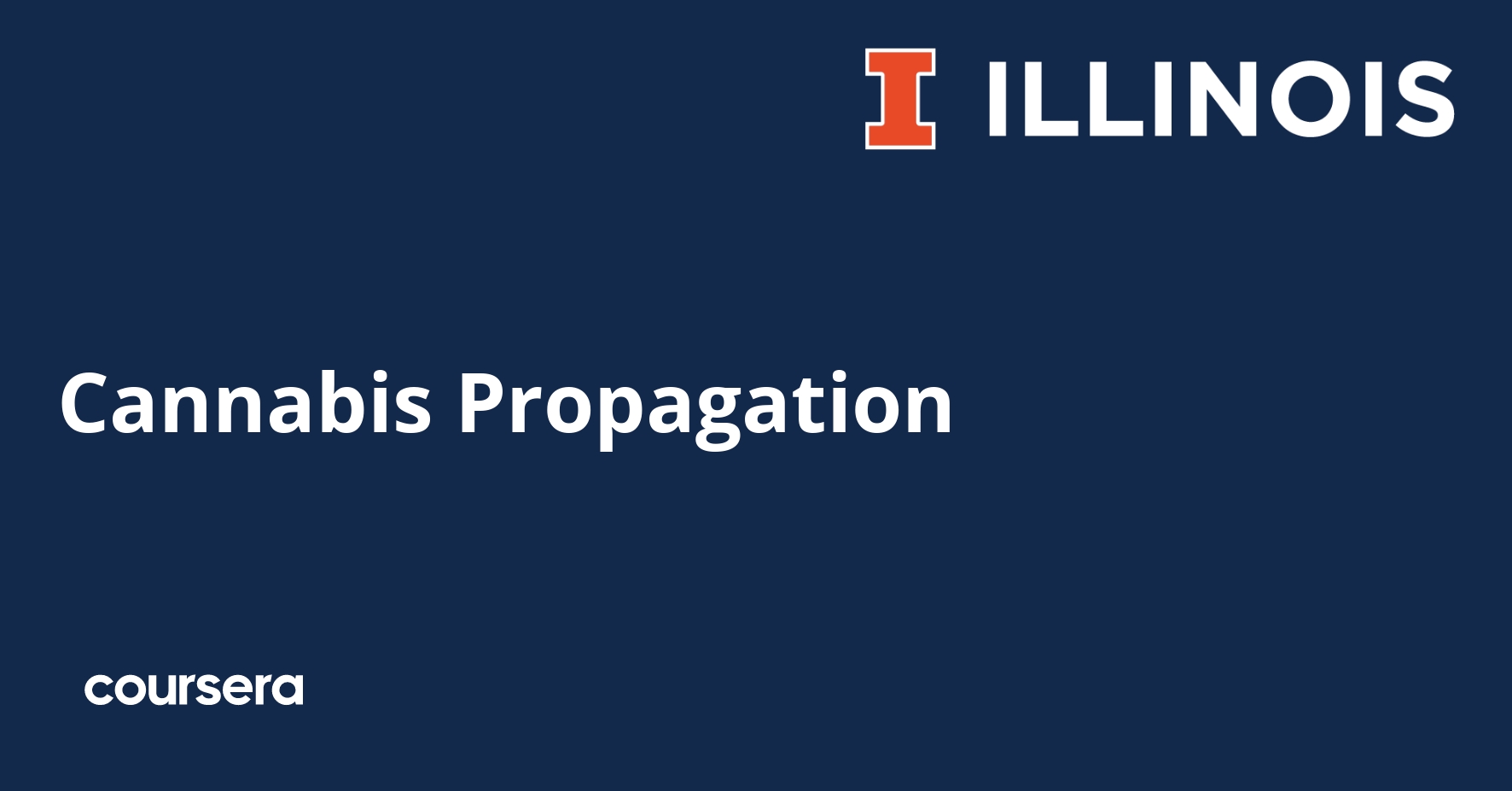 Cannabis Propagation