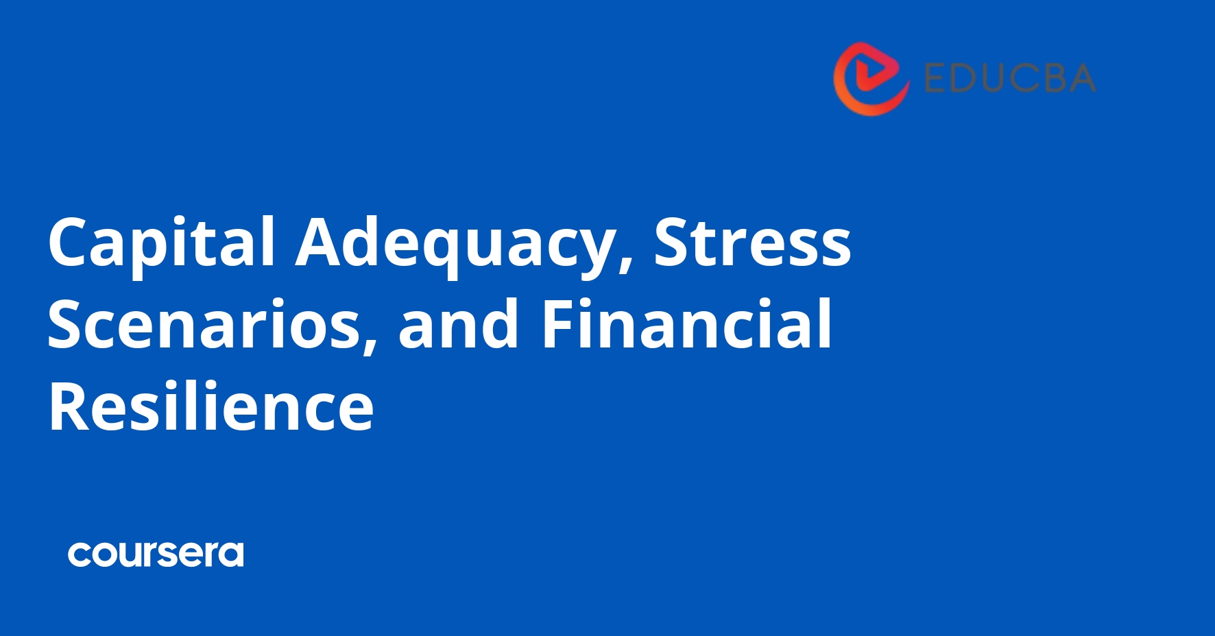 Capital Adequacy, Stress Scenarios, and Financial Resilience