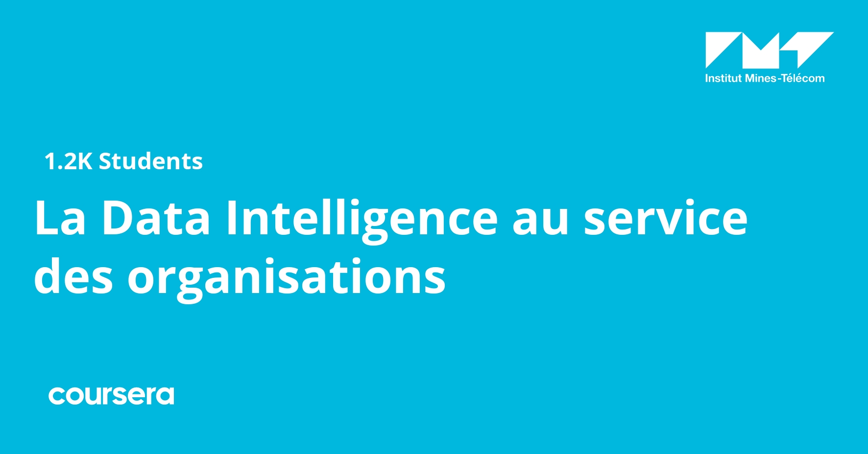 La Data Intelligence au service des organisations