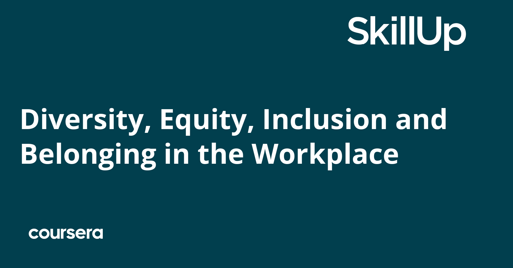 Diversity, Equity, Inclusion and Belonging in the Workplace