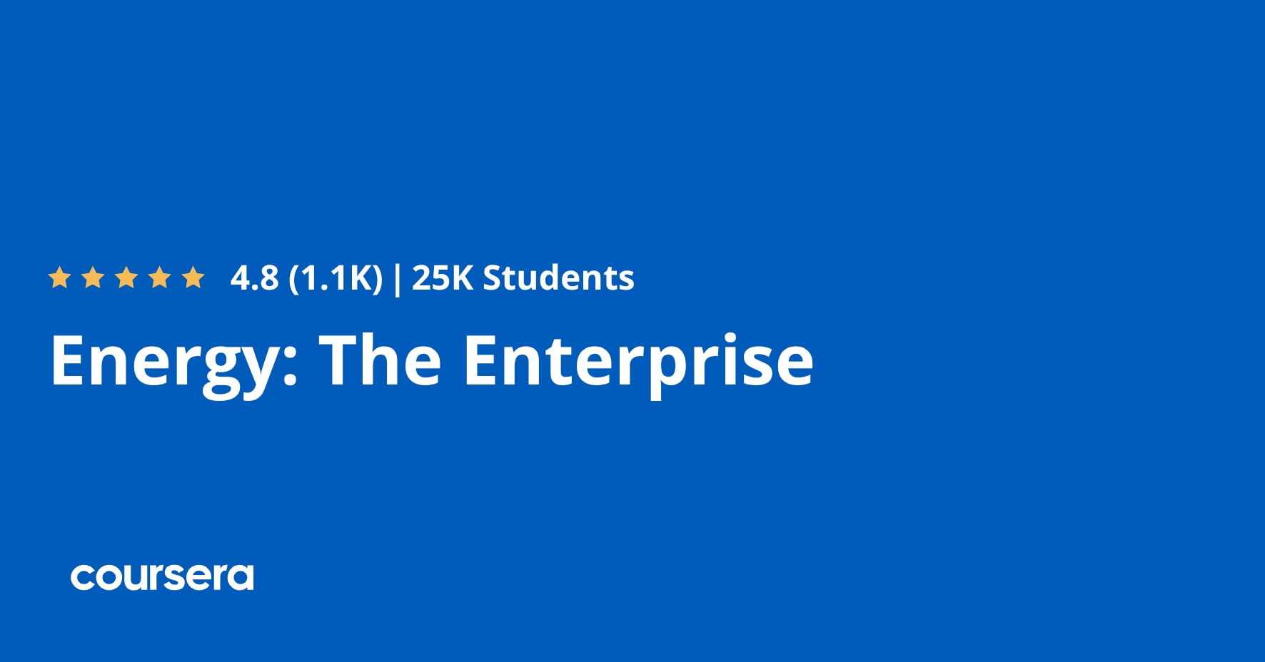 Energy Enterprise Course Review A business professional analyzing energy market trends and sustainability data.